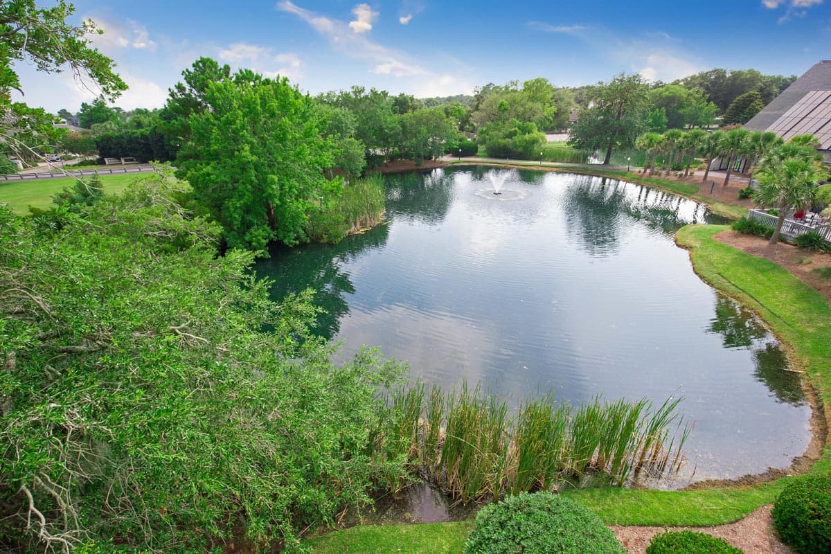 Litchfield Beach and Golf - 1 Bedroom Suite - Summerhouse